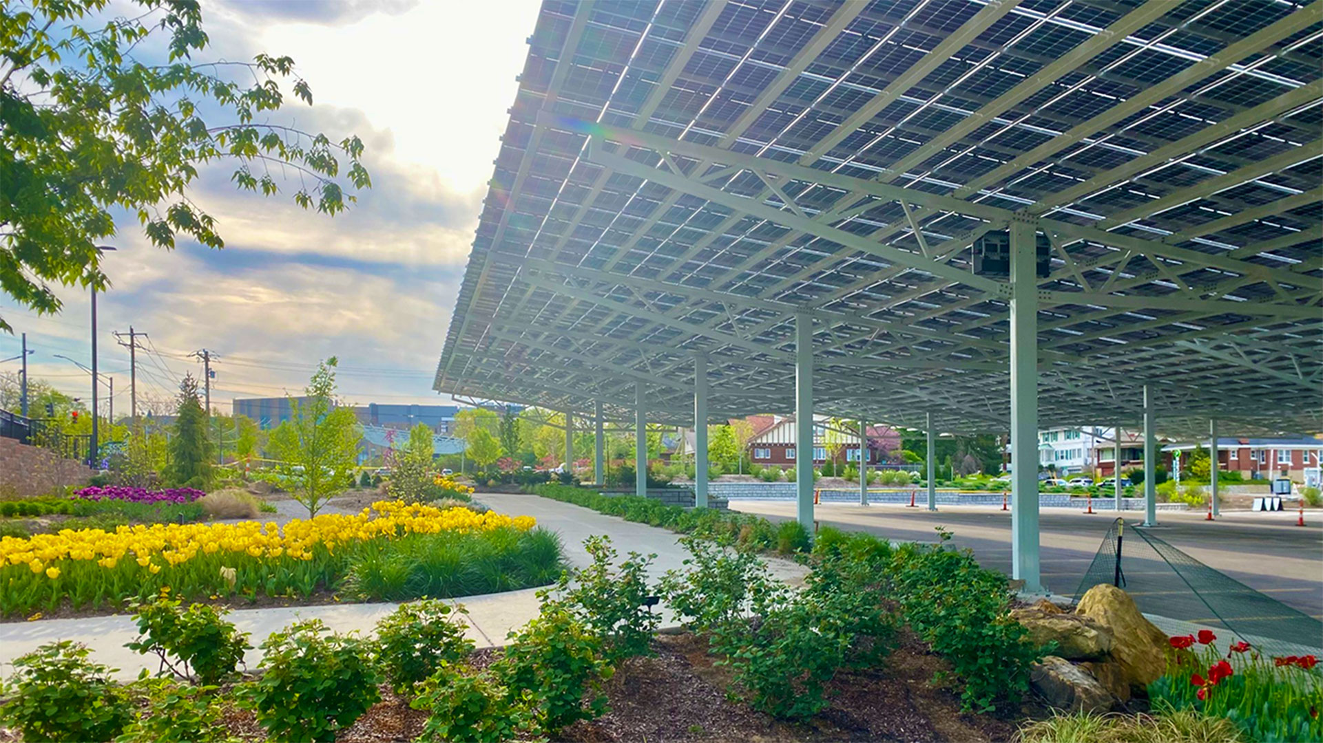 Cincinnati Zoo Solar Canopy 2