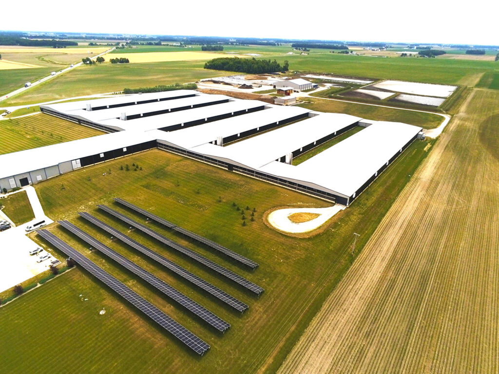 Dairy Farm Ground Mounted Solar